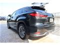 2021 Lexus RX