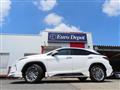 2021 Lexus RX