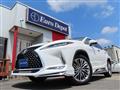 2021 Lexus RX