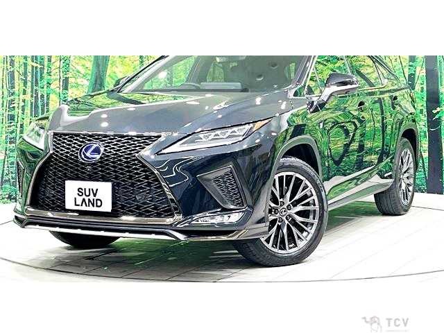 2022 Lexus RX