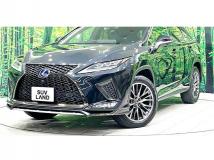 2022 Lexus RX