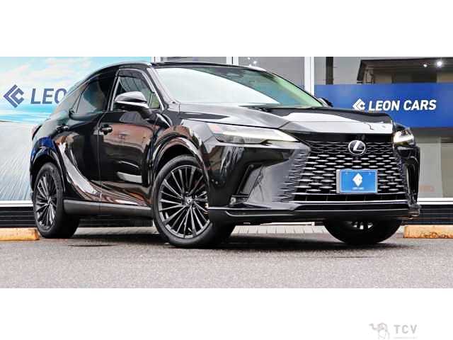 2023 Lexus RX