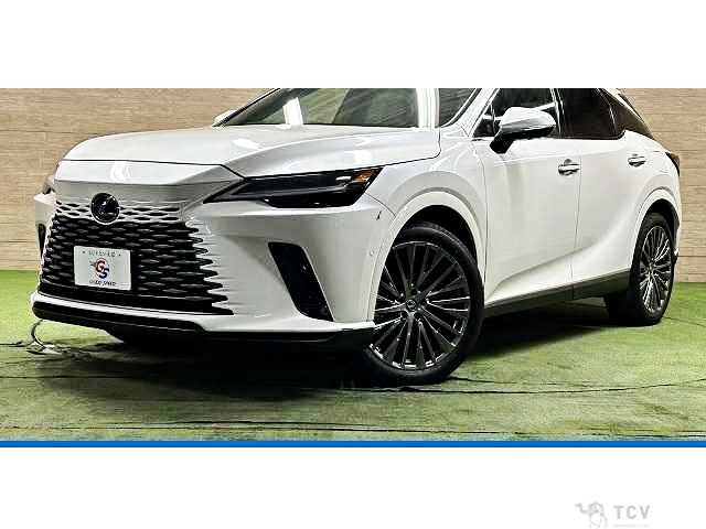 2023 Lexus RX