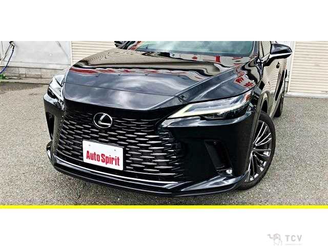 2023 Lexus RX