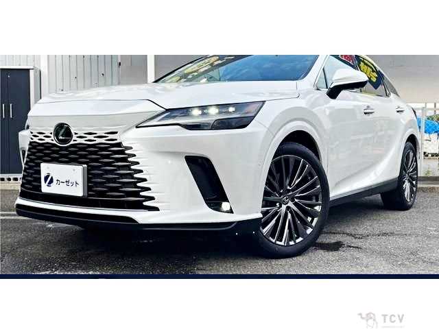 2023 Lexus RX