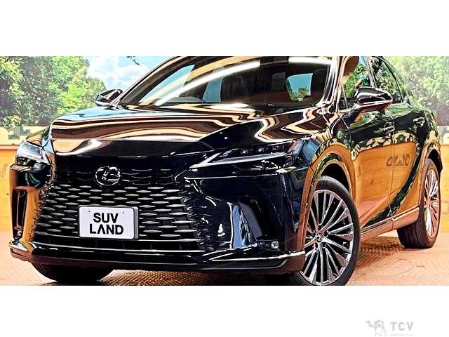 2023 Lexus RX