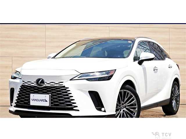 2023 Lexus RX