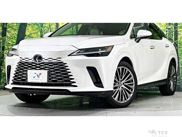 2023 Lexus RX