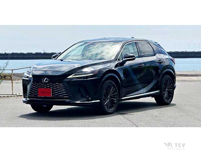 2023 Lexus RX