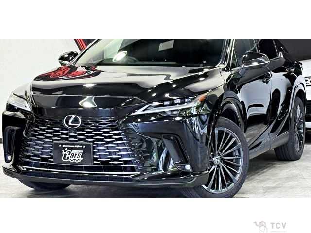 2023 Lexus RX