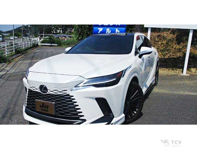 2023 Lexus RX