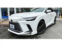 2023 Lexus RX