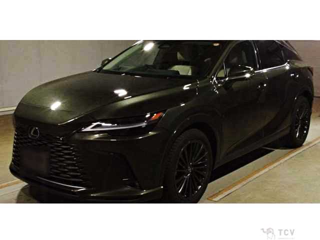 2024 Lexus RX
