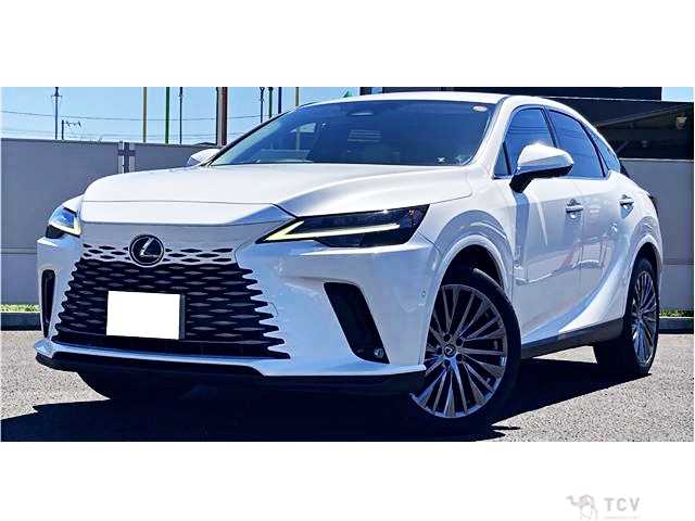 2024 Lexus RX