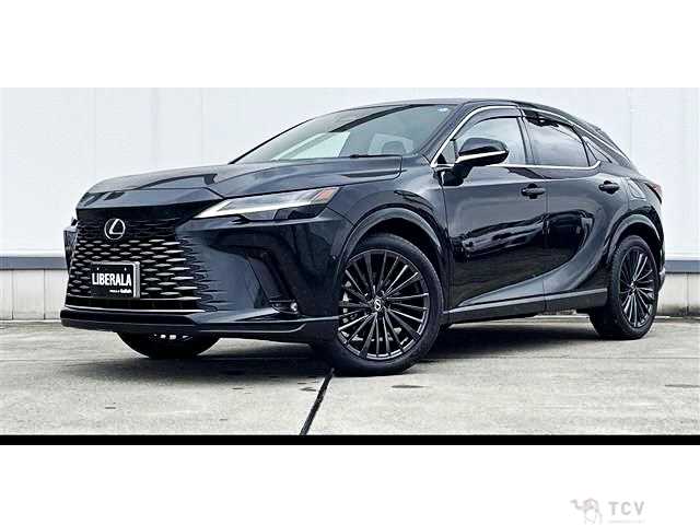 2024 Lexus RX