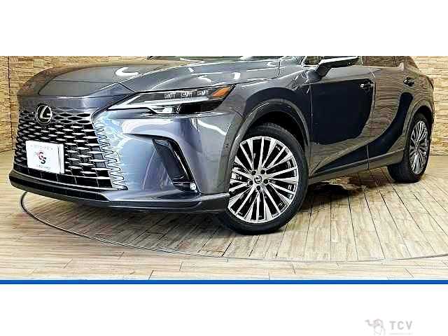 2024 Lexus RX
