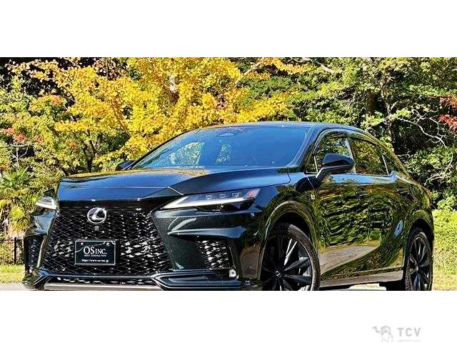 2024 Lexus RX