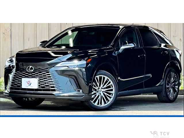 2024 Lexus RX
