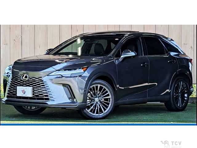 2024 Lexus RX