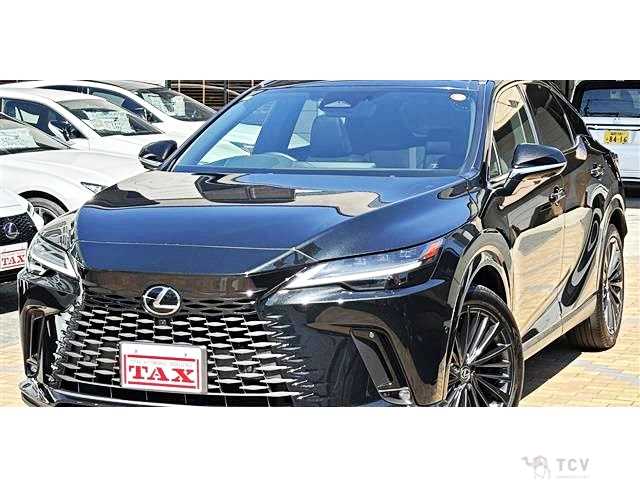 2024 Lexus RX