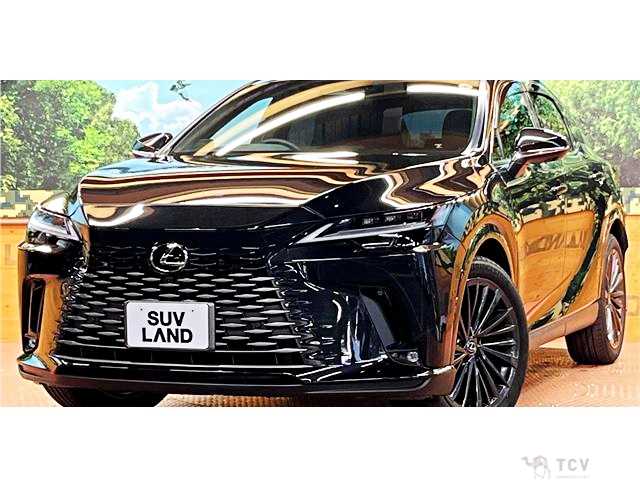 2024 Lexus RX
