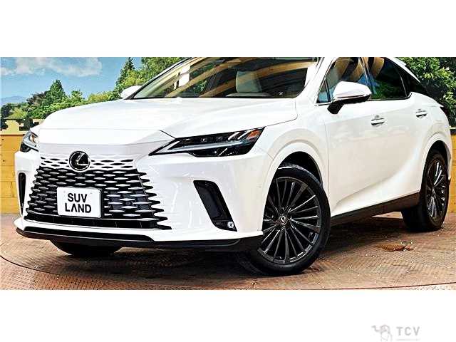 2024 Lexus RX