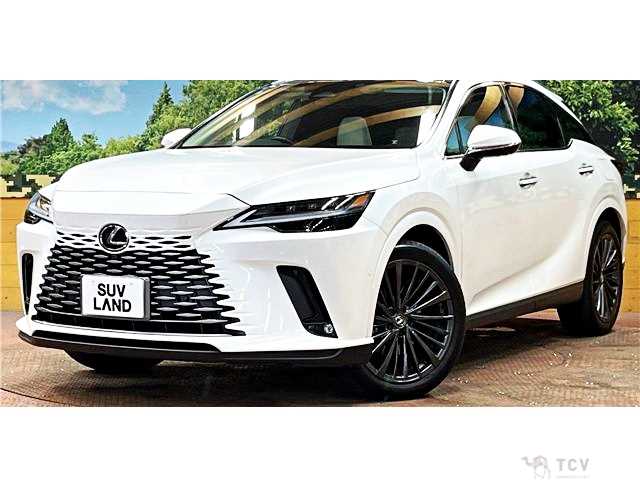 2024 Lexus RX