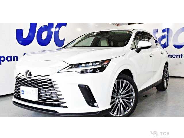 2024 Lexus RX