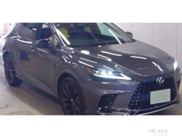 2024 Lexus RX