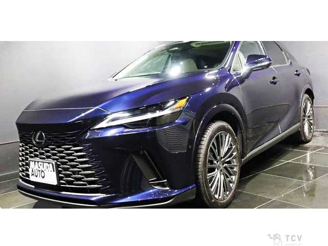 2024 Lexus RX