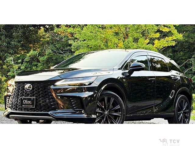 2024 Lexus RX