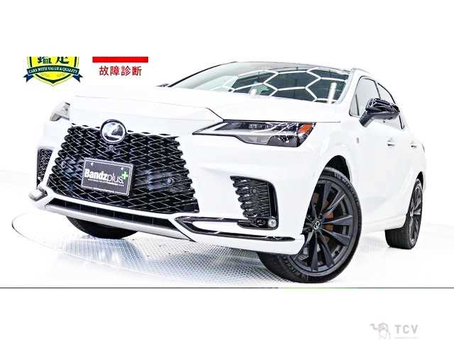 2024 Lexus RX