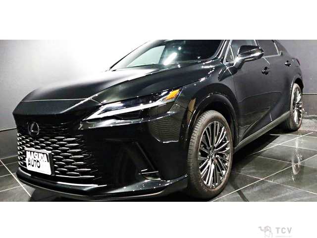 2024 Lexus RX