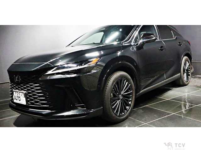 2024 Lexus RX