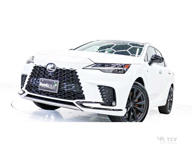 2024 Lexus RX