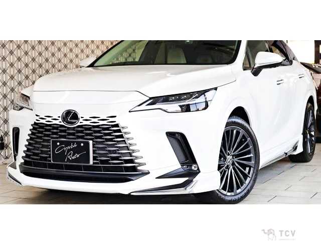 2024 Lexus RX