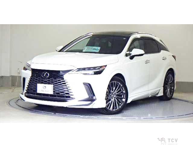 2024 Lexus RX