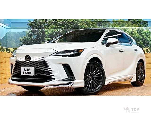 2024 Lexus RX