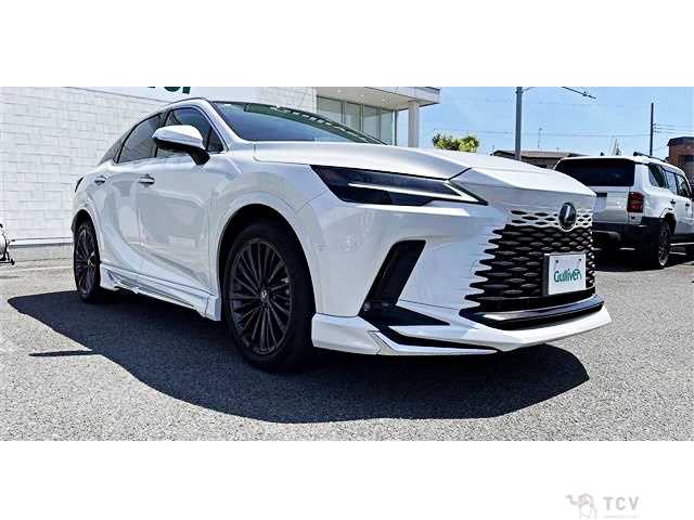 2024 Lexus RX