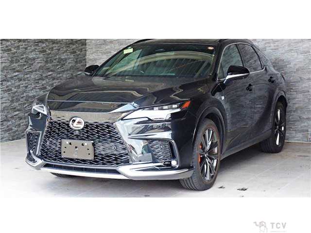 2024 Lexus RX