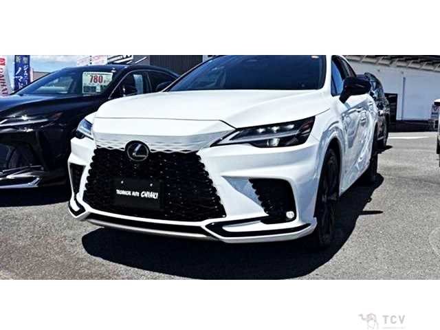 2024 Lexus RX