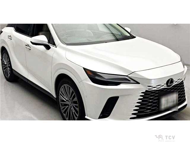 2024 Lexus RX