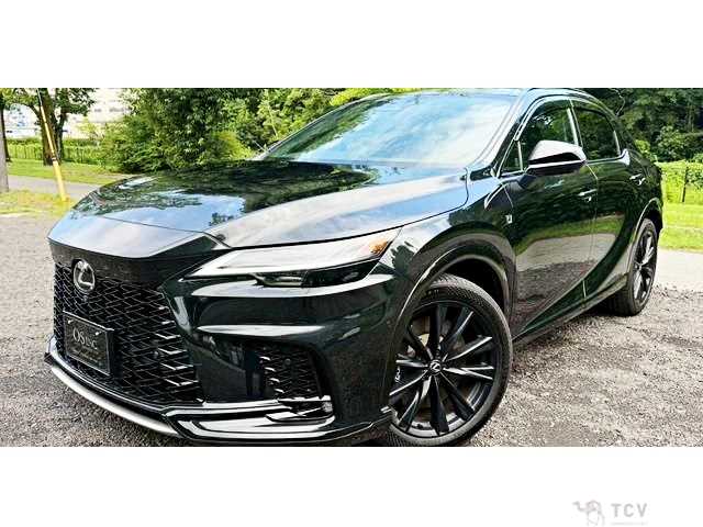 2024 Lexus RX