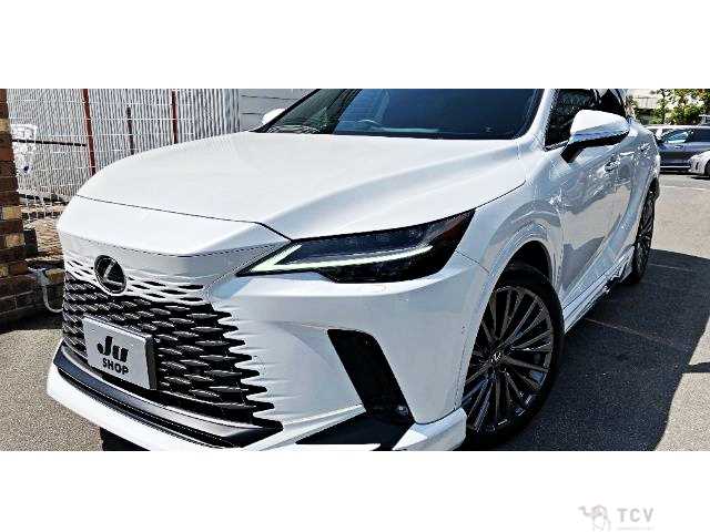 2024 Lexus RX