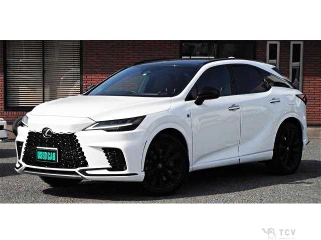 2024 Lexus RX