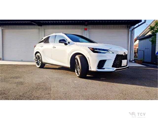 2024 Lexus RX