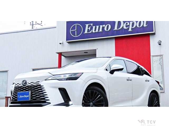 2024 Lexus RX