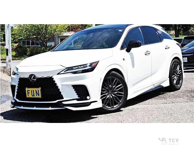 2024 Lexus RX