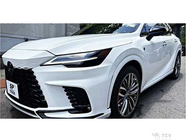 2024 Lexus RX