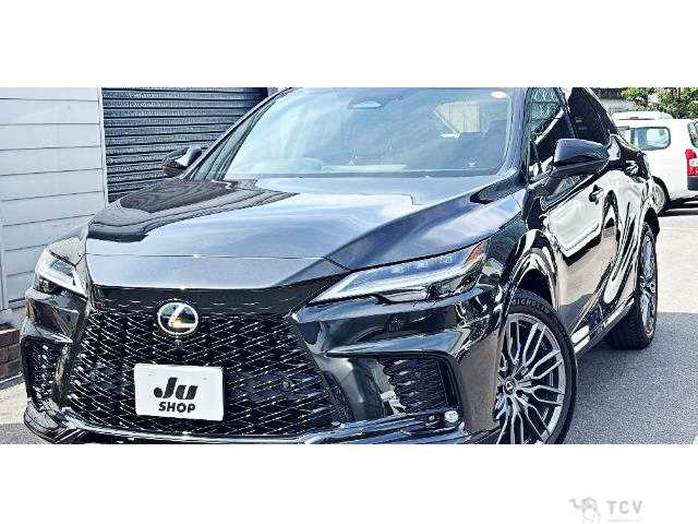2024 Lexus RX